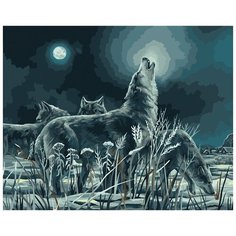 Картина по номерам на холсте ТРИ совы "Ночная охота", 40*50, с акриловыми красками и кистями