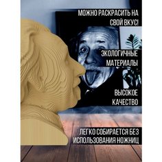 Картонный конструктор (3D пазл, интерьерная фигура голова) "личность Альберт Эйнштейн ( Теория относительности, нобелевская премия, физика) - 21" Бруталити