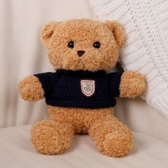 Мягкая игрушка «Медведь» в кофте, 28 см, цвет микс Россия