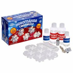 Набор для опытов «Новогодняя гирлянда из эпоксидной смолы», снежинки, уценка ЭВРИКИ