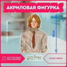 Акриловая фигурка для дома Гарри поттер гп Рон Harry Potter hp hogwarts v16 Krasnikova