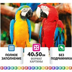 Картина стразами (алмазная мозаика) 40х50 см, остров сокровищ "Попугаи", без подрамника, 662413