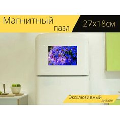 Магнитный пазл "Цветы, астры, сад" на холодильник 27 x 18 см. Lots Prints