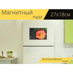 Магнитный пазл "Роза, сад, цветок" на холодильник 27 x 18 см. Lots Prints