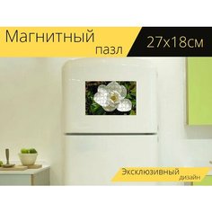 Магнитный пазл "Магнолия, макрос, белый" на холодильник 27 x 18 см. Lots Prints