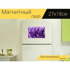 Магнитный пазл "Purple rose, bicolor rose, rose" на холодильник 27 x 18 см. Lots Prints