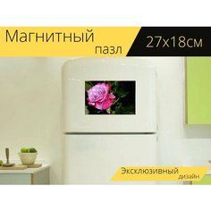 Магнитный пазл "Роза, розовый, розовая роза" на холодильник 27 x 18 см. Lots Prints