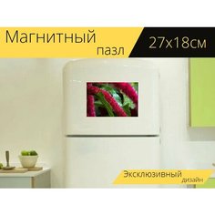 Магнитный пазл "Сахар ант, красный цветок, сад" на холодильник 27 x 18 см. Lots Prints