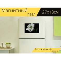 Магнитный пазл "Лили, белая лилия, цветочный" на холодильник 27 x 18 см. Lots Prints