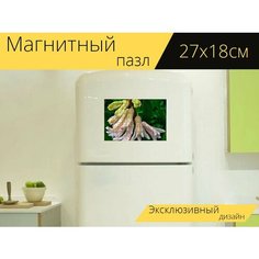 Магнитный пазл "Гиацинт, цветок, весна" на холодильник 27 x 18 см. Lots Prints