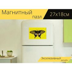 Магнитный пазл "Бабочка, насекомое" на холодильник 27 x 18 см. Lots Prints