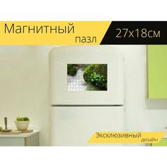 Магнитный пазл "Водопад, мох, корея" на холодильник 27 x 18 см. Lots Prints