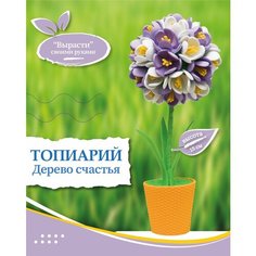 Набор для творчества топиарий "Крокусы" / Волшебная мастерская / Подарок на день рождения / Для девочек / Игрушка / Поделки для детей