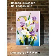 Алмазная мозаика 40х50 Paintboy