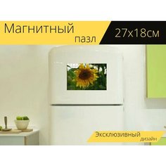 Магнитный пазл "Подсолнух, лето, цветок" на холодильник 27 x 18 см. Lots Prints