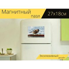Магнитный пазл "Птица, сойка, законопроект" на холодильник 27 x 18 см. Lots Prints