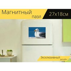 Магнитный пазл "Чайка, птица, перо" на холодильник 27 x 18 см. Lots Prints