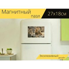 Магнитный пазл "Лев, львица, мало" на холодильник 27 x 18 см. Lots Prints