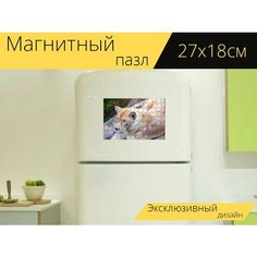 Магнитный пазл "Лев, львица, африке" на холодильник 27 x 18 см. Lots Prints