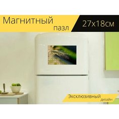 Магнитный пазл "Рожь, ухо, зерно" на холодильник 27 x 18 см. Lots Prints