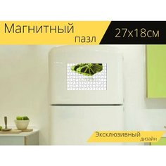 Магнитный пазл "Чернить, одежда, мода" на холодильник 27 x 18 см. Lots Prints