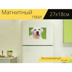 Магнитный пазл "Собака, белый, лабрадор" на холодильник 27 x 18 см. Lots Prints