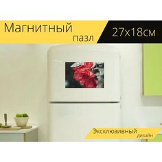 Магнитный пазл "Роза, цветок, завод" на холодильник 27 x 18 см. Lots Prints