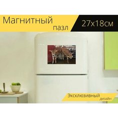 Магнитный пазл "Телята, животные на ферме, крупный рогатый скот" на холодильник 27 x 18 см. Lots Prints