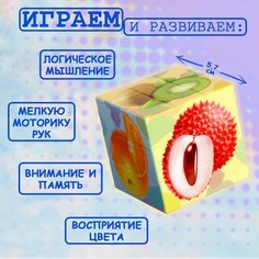 Головоломка «Фрукты» Россия