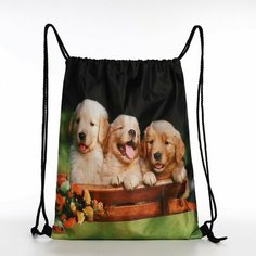 Мешок для обуви на шнурке, цвет чёрный Нет бренда