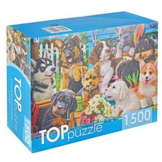 Пазлы 1500 TOPpuzzle "Компания щенков в саду" Рыжий кот