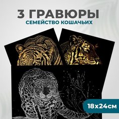 Набор для творчества Гравюра скретч картина для детей LORI Семейство кошачьих 18х24 см, 3 шт, Им-083