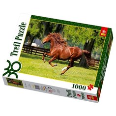 Пазл Trefl Мчатся кони (10201), 1000 дет.