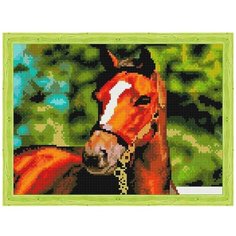Алмазная мозаика "Гнедая", 40x30 см, Цветной (Standart)
