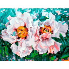 Картина по номерам Белоснежка "Два пиона" / Раскраска / Холст на подрамнике 30х40 см. / Цветы
