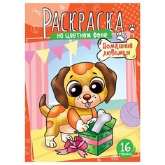 Спейс Раскраска А4, ArtSpace "Домашние любимцы", 16стр.