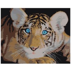Картина по номерам, "Живопись по номерам", 72 x 90, Z-AB369