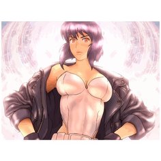 Картина по номерам на холсте Аниме Призрак в допспехах 5181 40х30