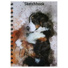 Скетчбук. Собака Попурри