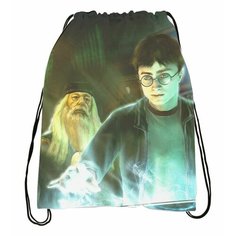 Мешок для обуви Harry Potter, Гарри Поттер №12 Anima Shop