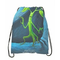 Мешок для обуви Fantastic Beasts, Фантастические твари №10 Anima Shop