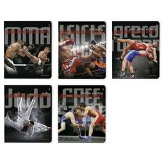 Тетрадь "Боевые искусства", 48 листов Альт