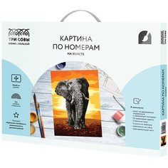 Картина по номерам на холсте ТРИ совы "Слон" 30*40 с акриловыми красками и кистями 1 шт нет бренда