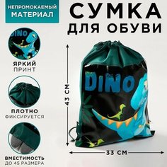 ArtFox STUDY Сумка для обуви «Дино», 33х43х0,5 см