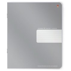Альт Тетрадь общая PLATINUM 7-96-621/1, клетка, 96 л., серебристый