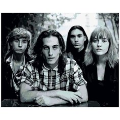 Картина по номерам Maneskin / Манескин / 40*50 / холст на подрамнике