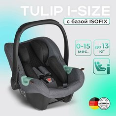 Автокресло 0+ ABC-Design Tulip Asphalt+база 12001972003/12001611000