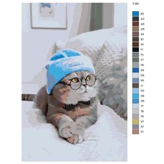 Картина по номерам Y-381 "Котик в очках и шапке" 60x90 Brushes Paints
