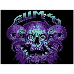 Картина по номерам на холсте Sum 41 - 224