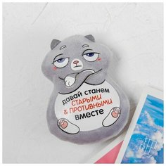 Магнит «Давай станем старыми и противными вместе», кот Milo Toys